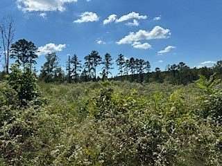 200 Acres of Recreational Land & Farm for Sale in San Augustine, Texas