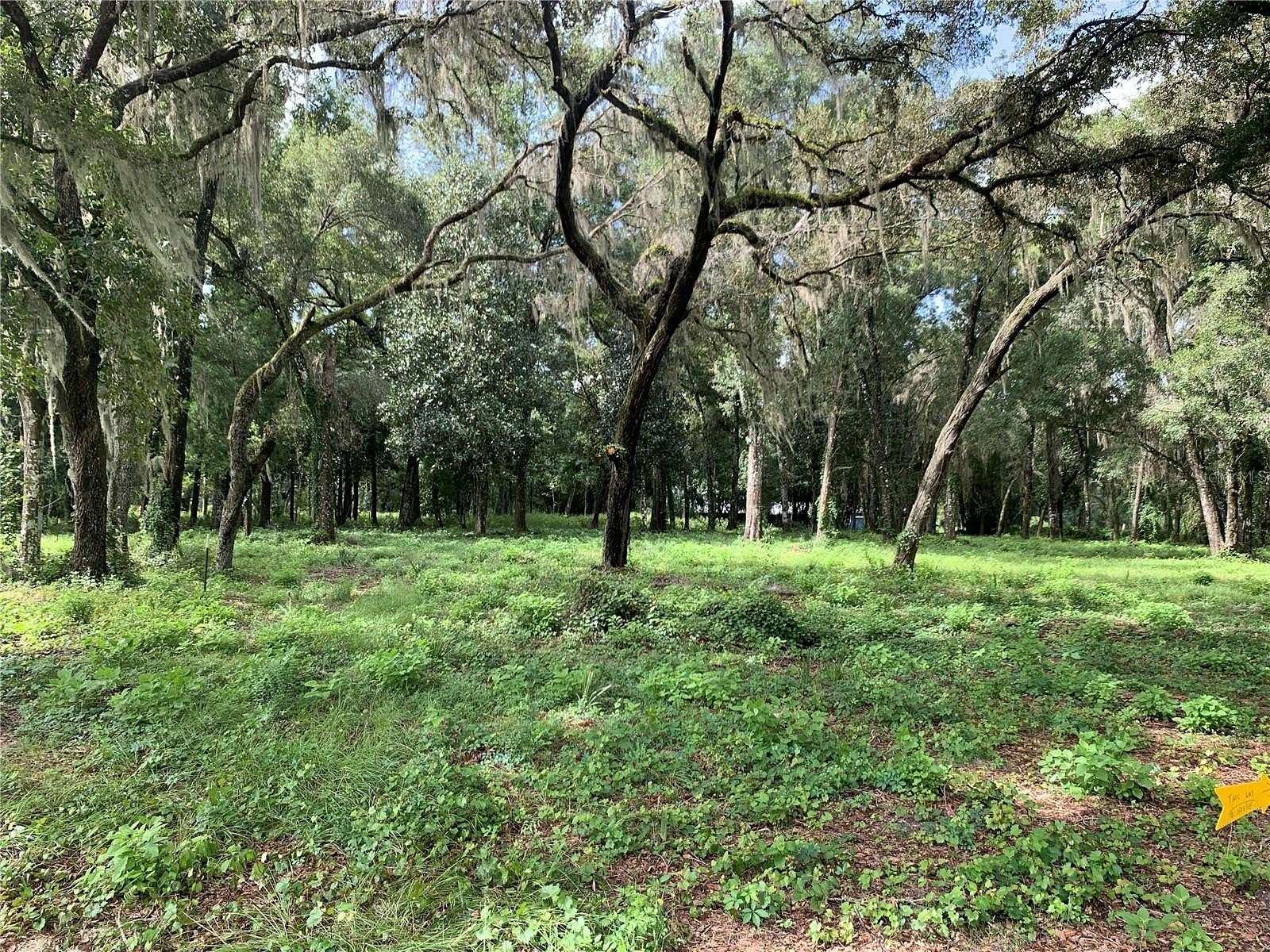 5.02 Acres of Residential Land for Sale in Bushnell, Florida