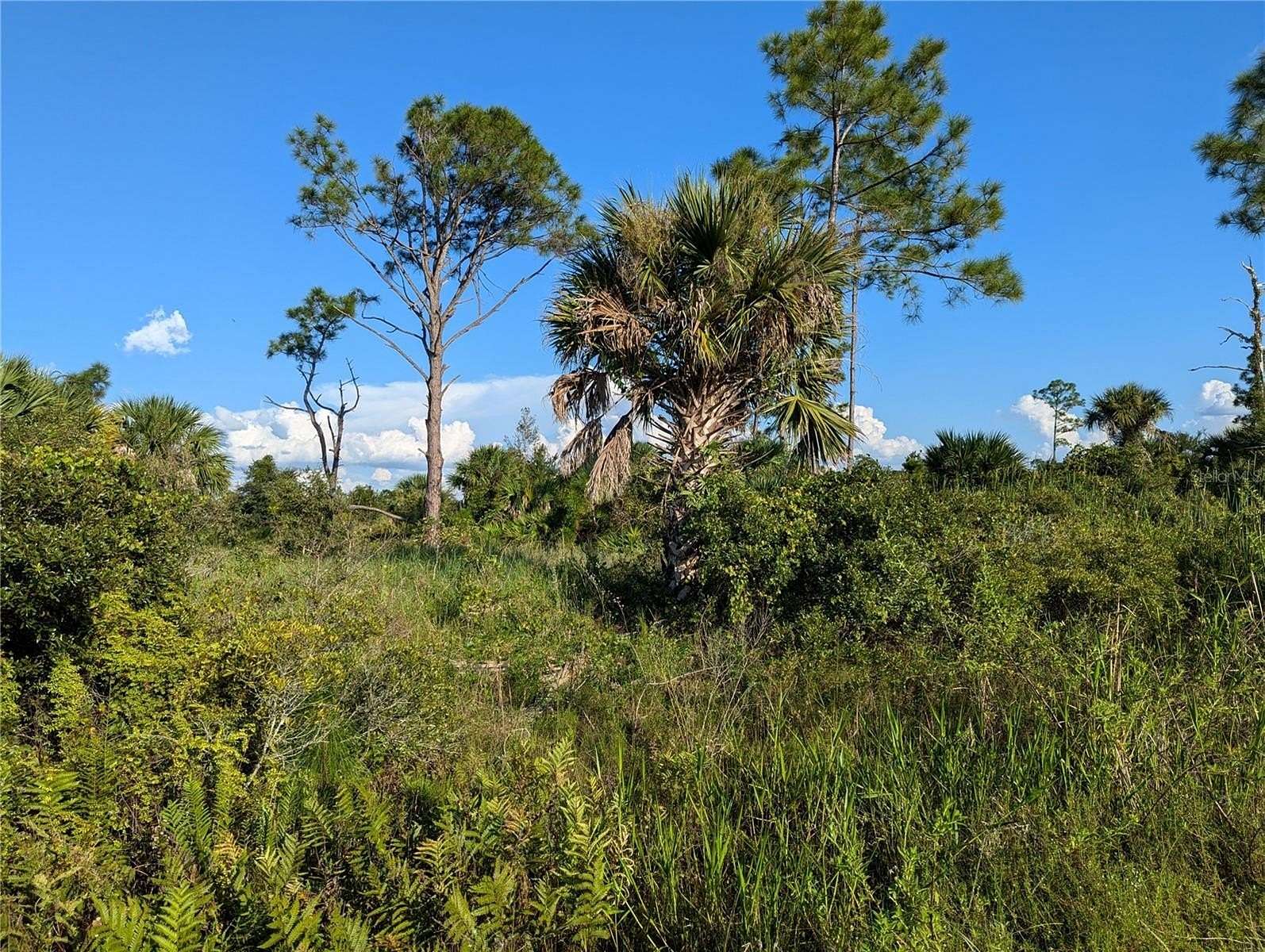 0.23 Acres of Residential Land for Sale in North Port, Florida