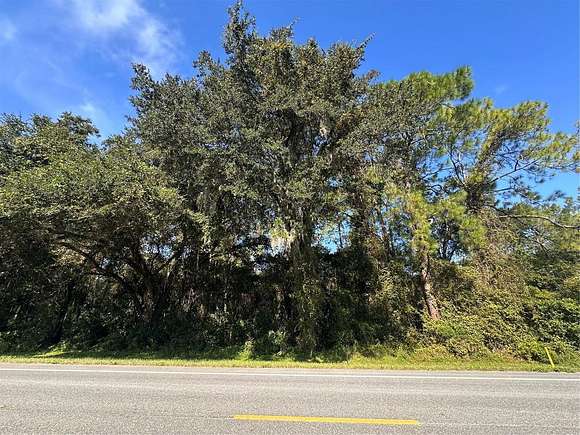 0.69 Acres of Residential Land for Sale in Webster, Florida