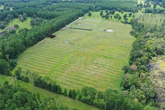 20.7 Acres of Land for Sale in Reddick, Florida