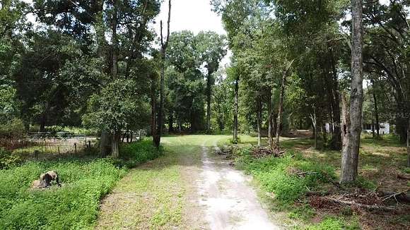 81.52 Acres of Land with Home for Sale in Bell, Florida