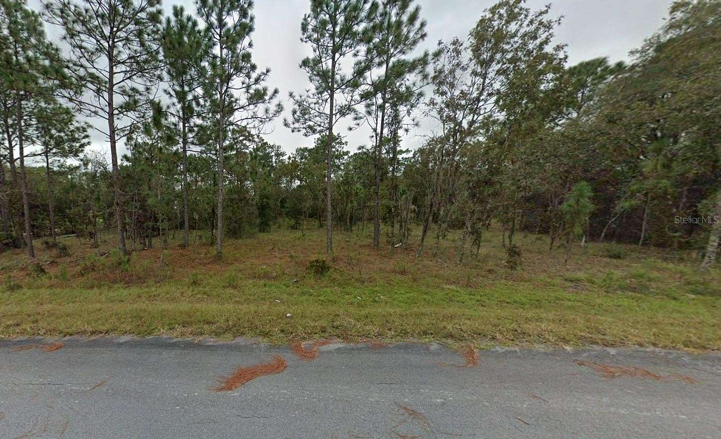 0.25 Acres of Residential Land for Sale in Williston, Florida