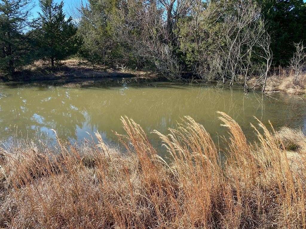 37 Acres of Agricultural Land for Sale in Whitesboro, Texas