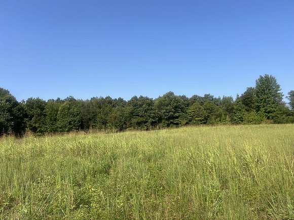 9 Acres of Residential Land with Home for Sale in Campbell, Missouri