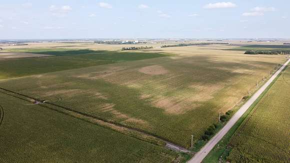 78.92 Acres of Agricultural Land for Auction in Hordville, Nebraska