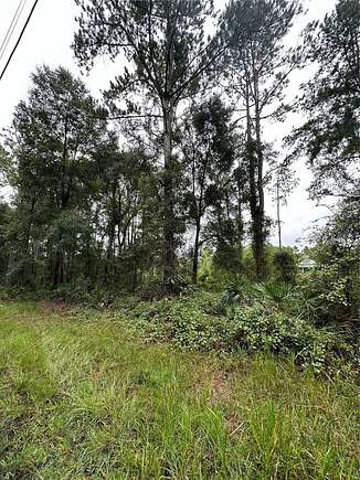 0.25 Acres of Residential Land for Sale in Fort McCoy, Florida