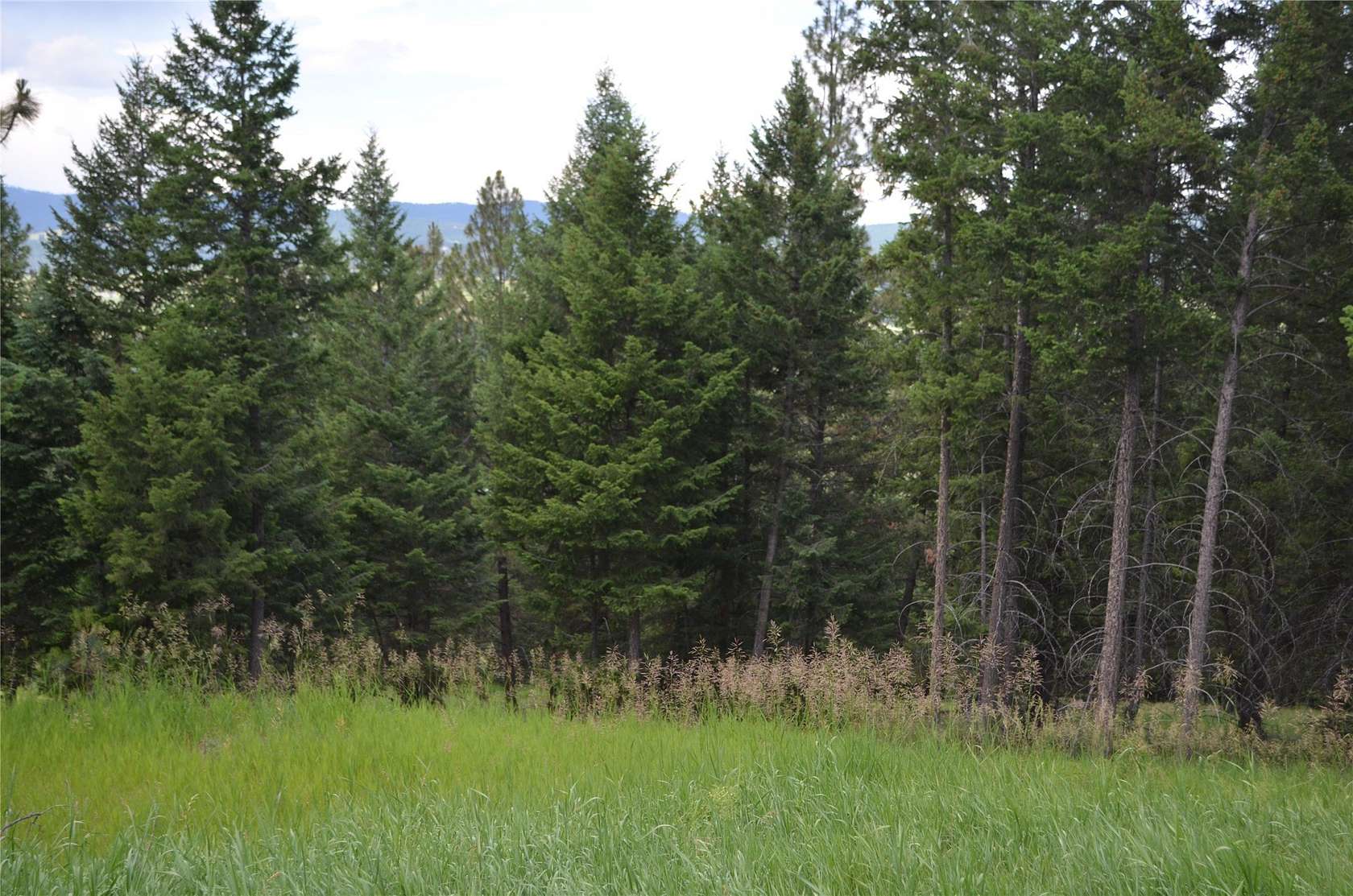 0.5 Acres of Residential Land for Sale in Kalispell, Montana