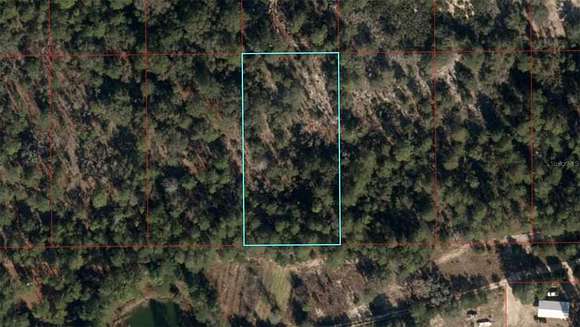 1.25 Acres of Residential Land for Sale in Bronson, Florida