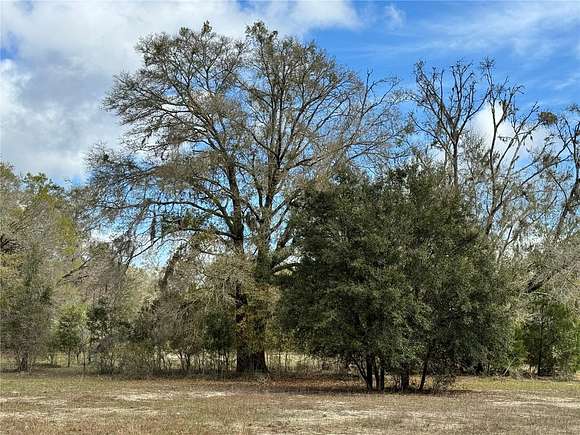 40 Acres of Agricultural Land for Sale in Bell, Florida