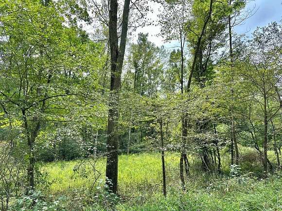 Residential Land for Sale in Olanta, Pennsylvania