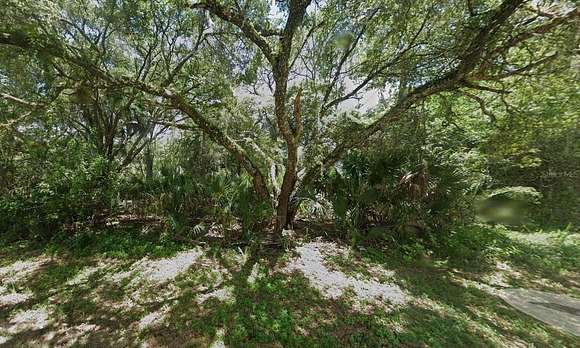 0.23 Acres of Residential Land for Sale in Port Charlotte, Florida