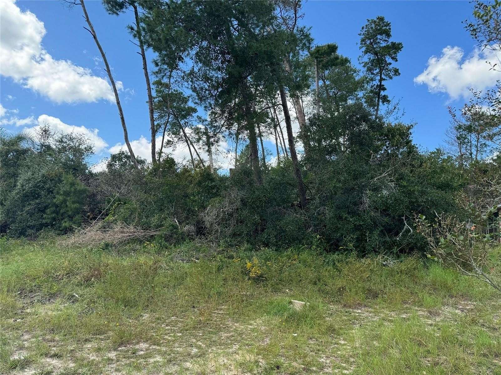 0.23 Acres of Residential Land for Sale in Spring Hill, Florida