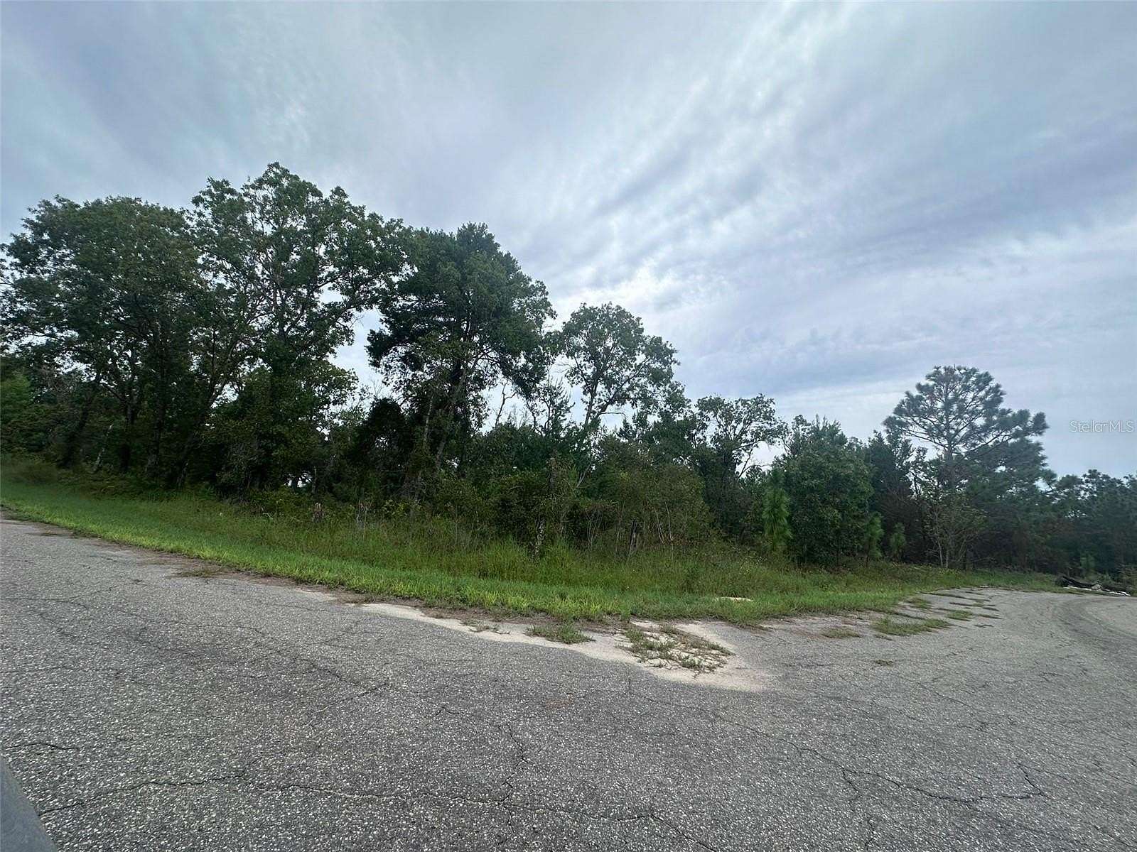 0.28 Acres of Residential Land for Sale in Ocklawaha, Florida