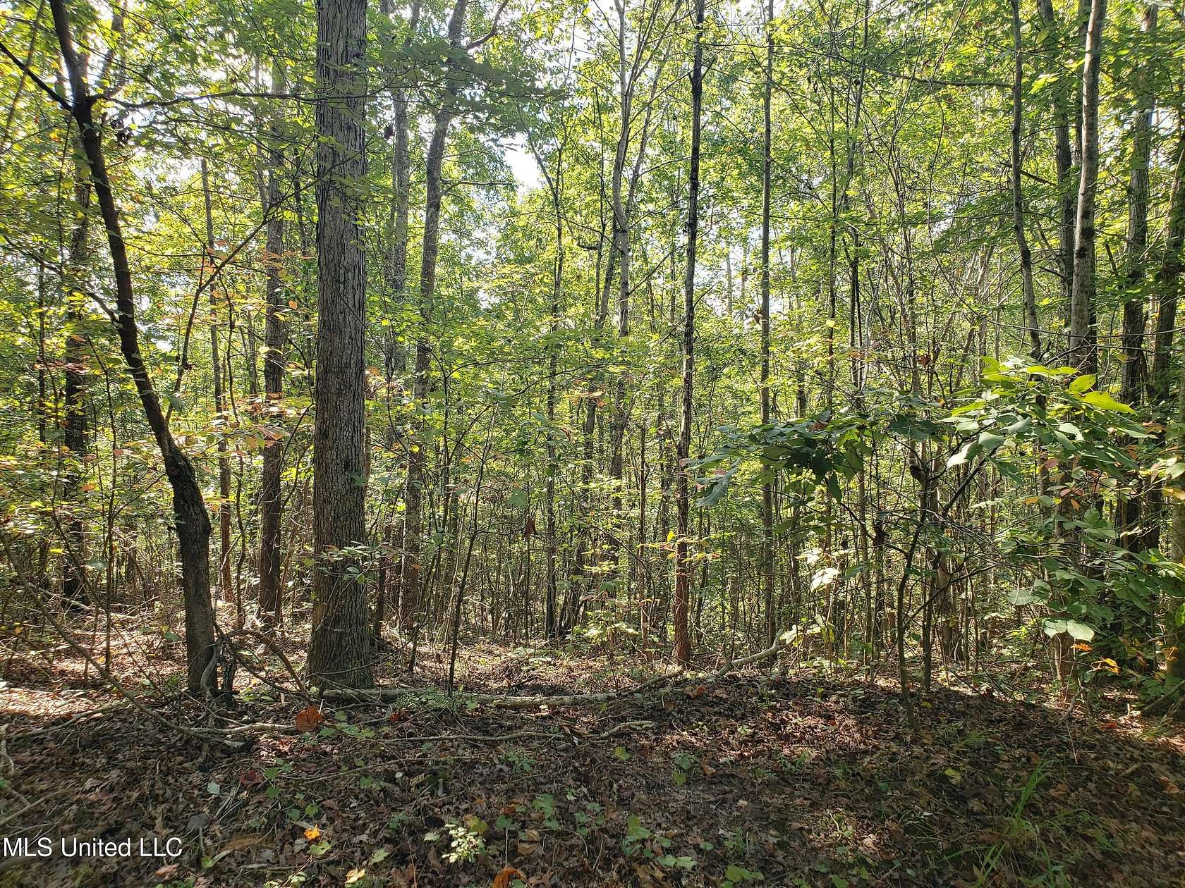 18 Acres of Recreational Land for Sale in Falkner, Mississippi