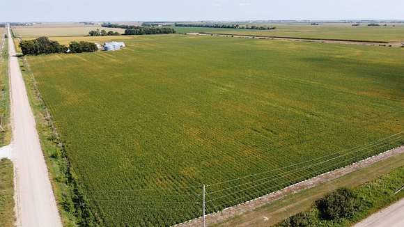 77.93 Acres of Agricultural Land for Auction in Hordville, Nebraska