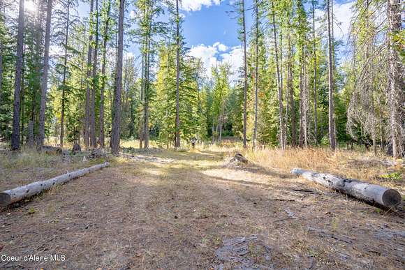 6.75 Acres of Land for Sale in Priest River, Idaho