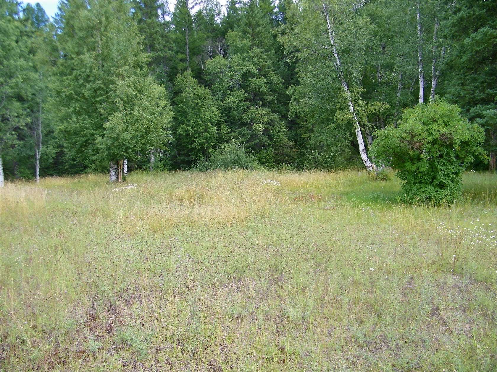 0.3 Acres of Land for Sale in Coram, Montana