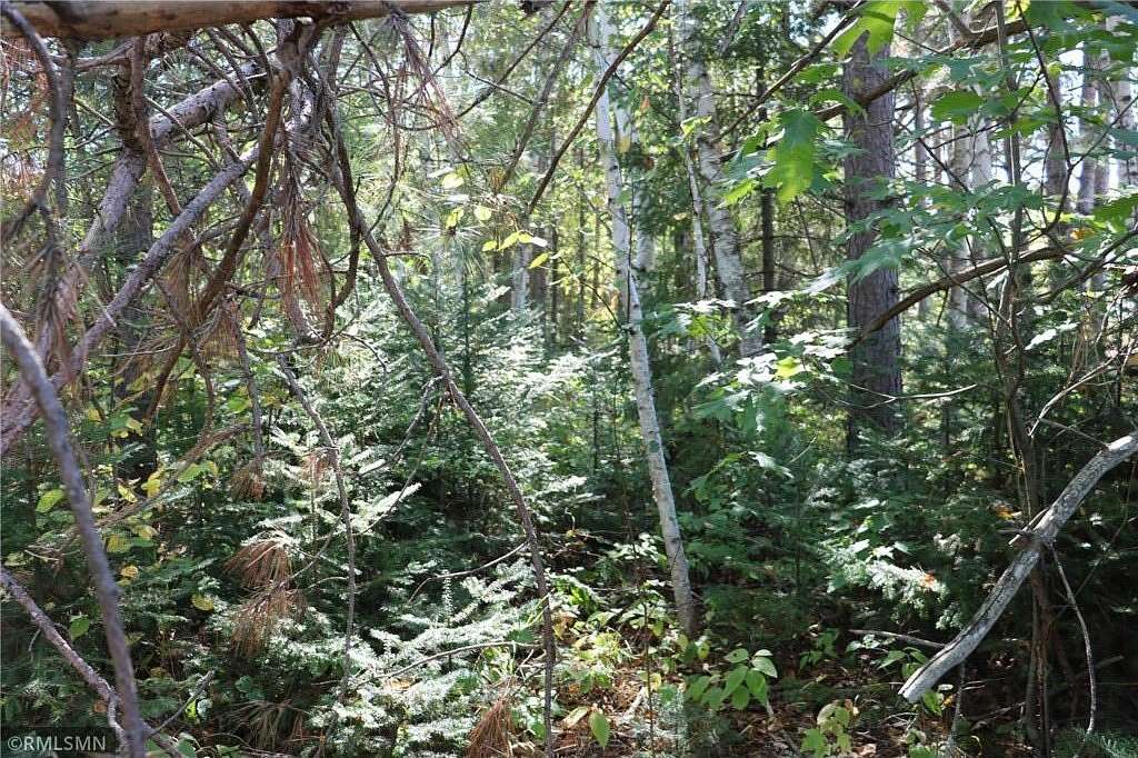 39.5 Acres of Recreational Land for Sale in Nickerson Township, Minnesota