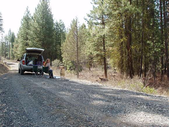 3.92 Acres of Land for Sale in Bonanza, Oregon