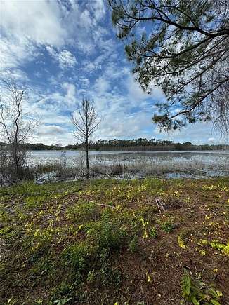 13.65 Acres of Land for Sale in Altoona, Florida