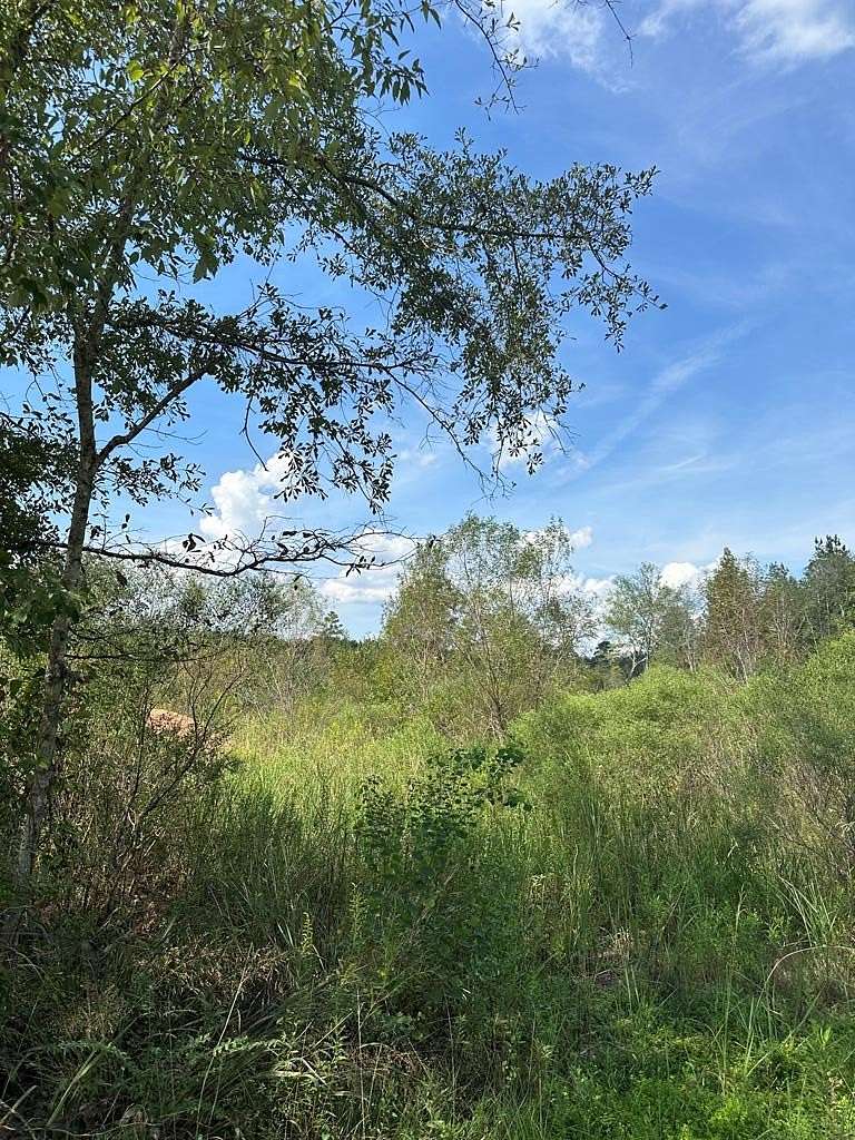 40.59 Acres of Land for Sale in Ellisville, Mississippi