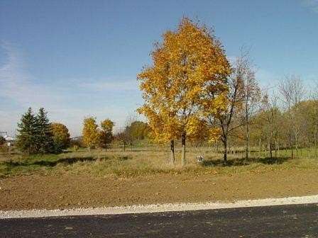 0.05 Acres of Residential Land for Sale in Woodstock, Illinois