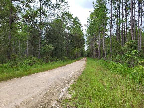 12.02 Acres of Recreational Land for Sale in Lake Butler, Florida