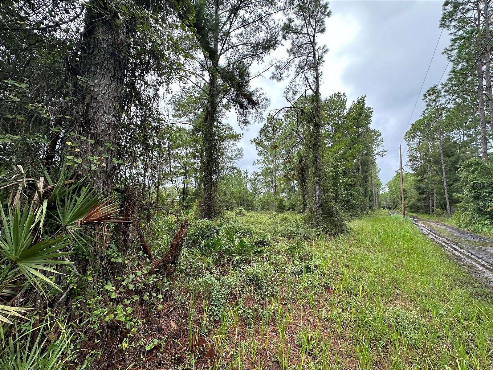 0.25 Acres of Residential Land for Sale in Fort McCoy, Florida