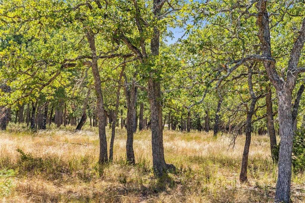 Land for Sale in Fredericksburg, Texas