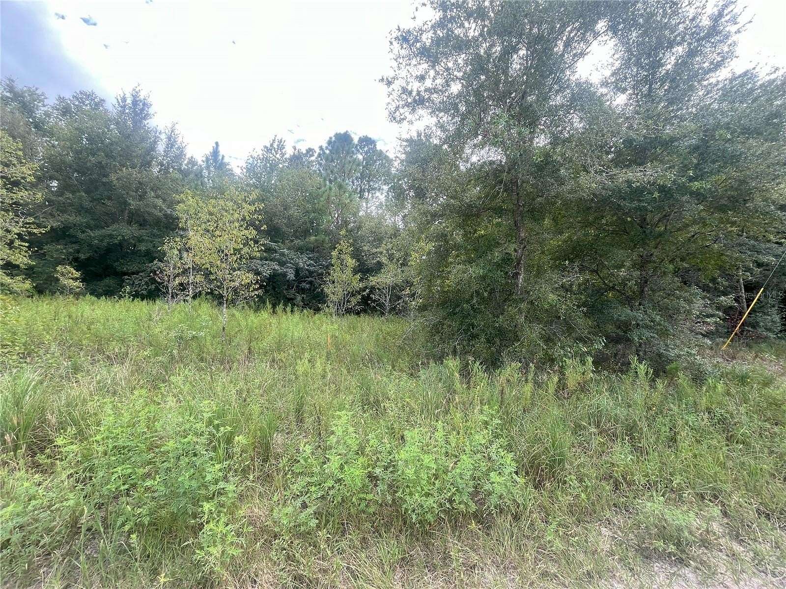 0.26 Acres of Land for Sale in Ocala, Florida