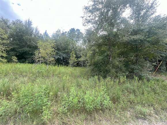 0.26 Acres of Residential Land for Sale in Ocala, Florida