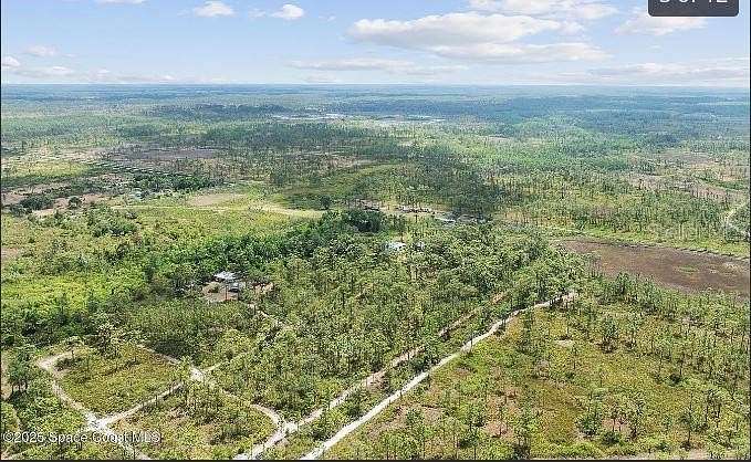 0.38 Acres of Land for Sale in St. Cloud, Florida