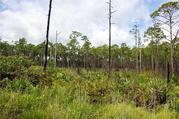 5.04 Acres of Recreational Land for Sale in Frostproof, Florida