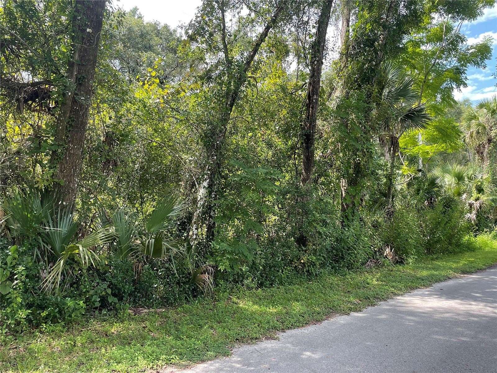 8.62 Acres of Land for Sale in De Leon Springs, Florida