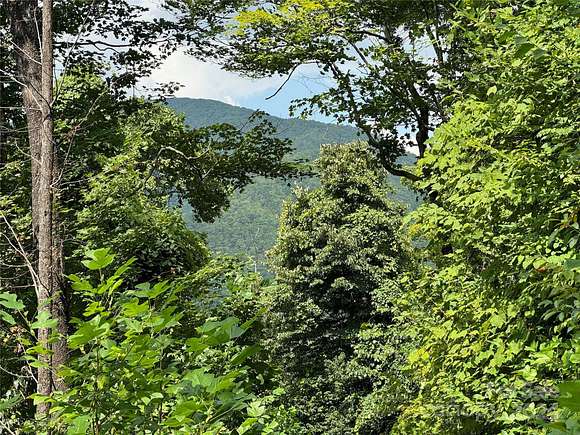 24.44 Acres of Land for Sale in Maggie Valley, North Carolina