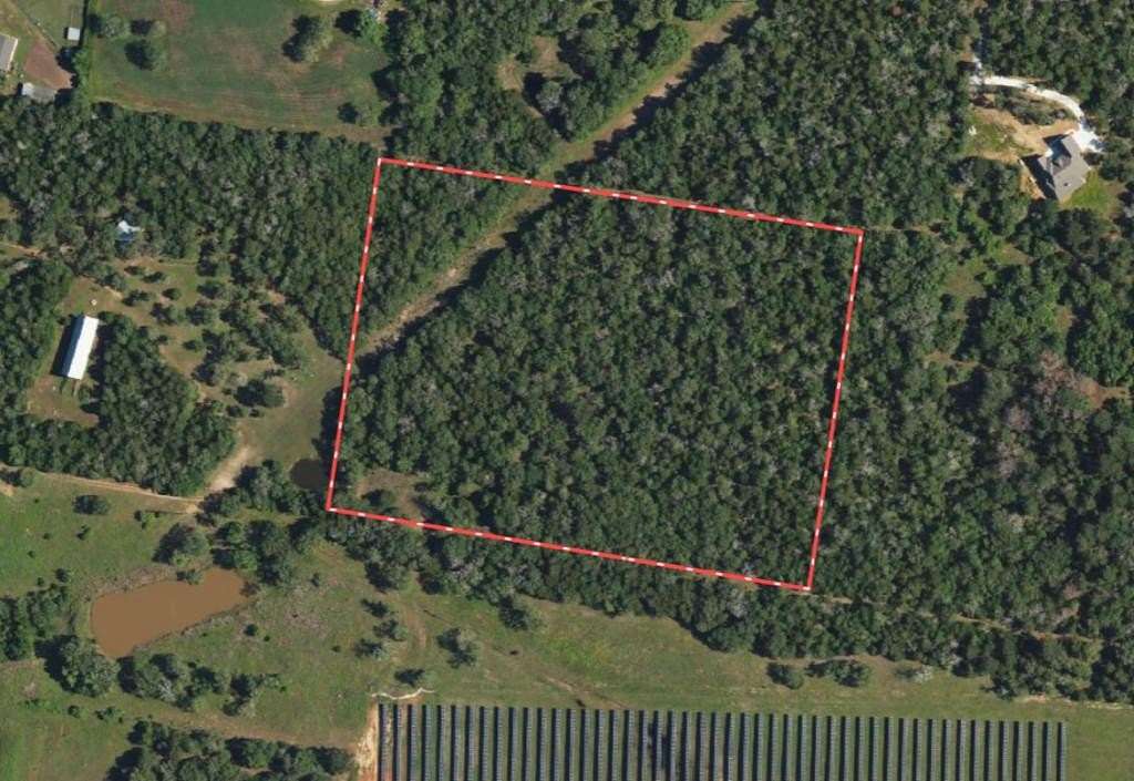 Land for Sale in Rosanky, Alabama