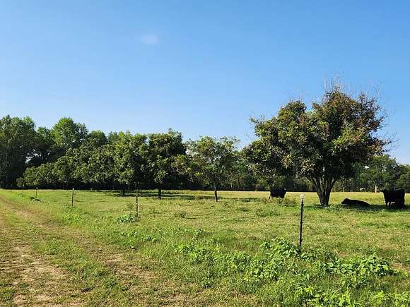 22.81 Acres of Land for Sale in Higgston, Georgia