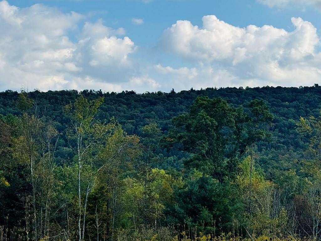 51.58 Acres of Recreational Land for Sale in Ulster, Pennsylvania