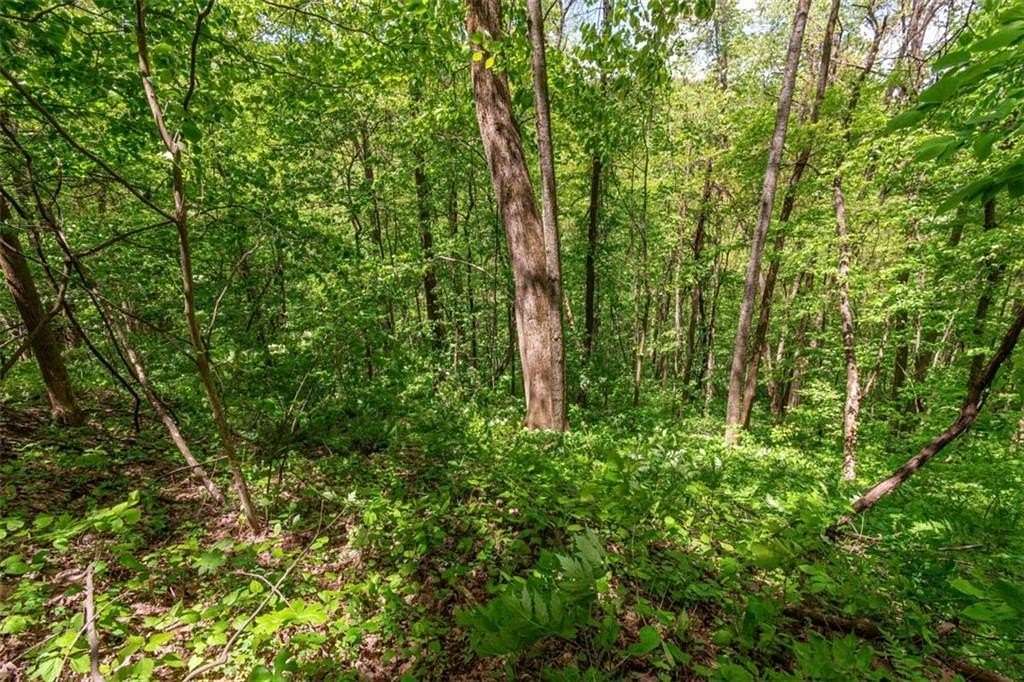 3 Acres of Land for Sale in Ellijay, Georgia