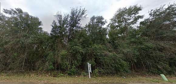0.31 Acres of Residential Land for Sale in Hawthorne, Florida