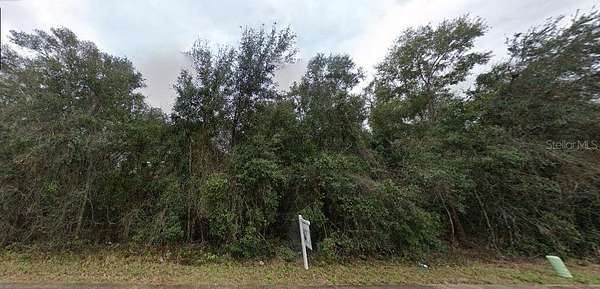 0.31 Acres of Land for Sale in Hawthorne, Florida