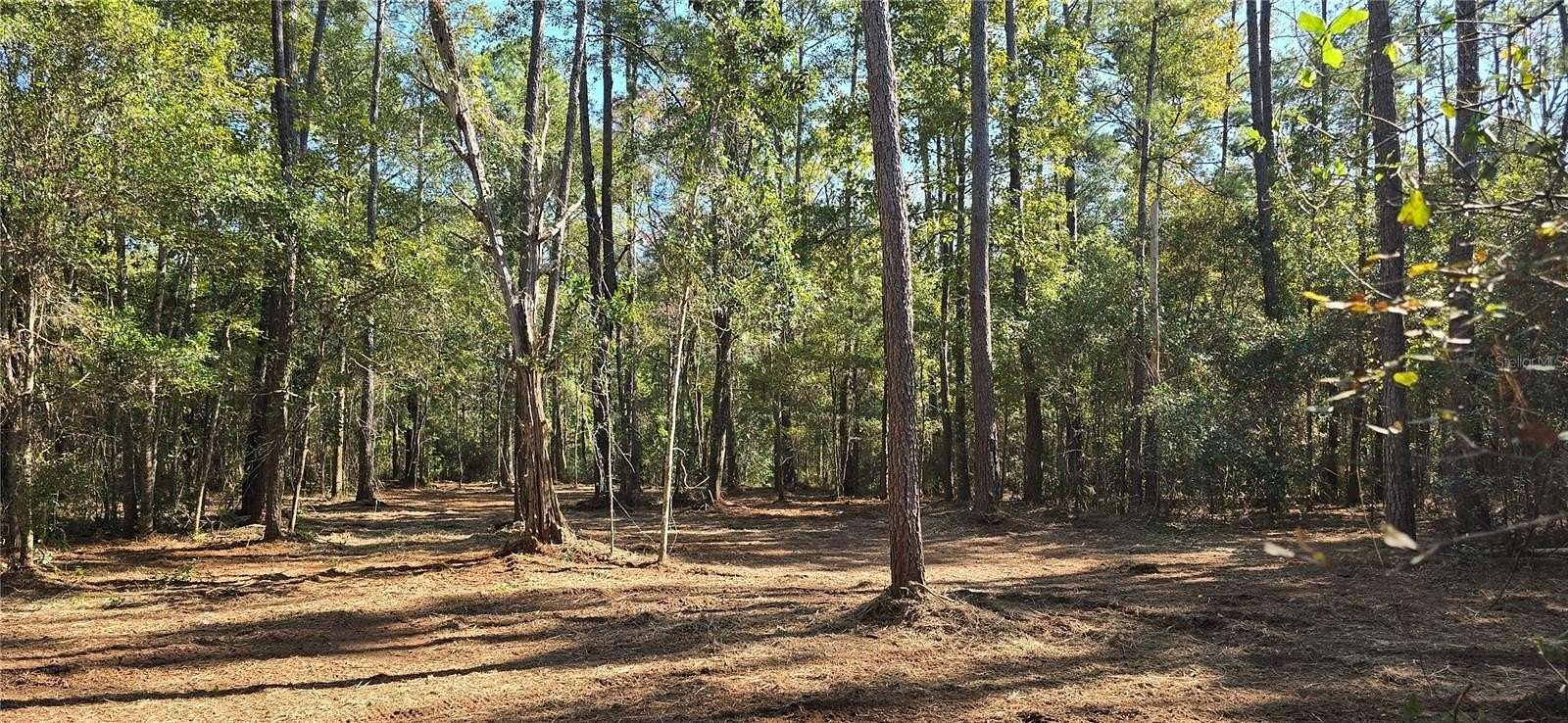 20 Acres of Recreational Land for Sale in Sopchoppy, Florida