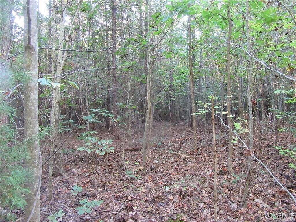 5 Acres of Land for Sale in Wilsons, Virginia