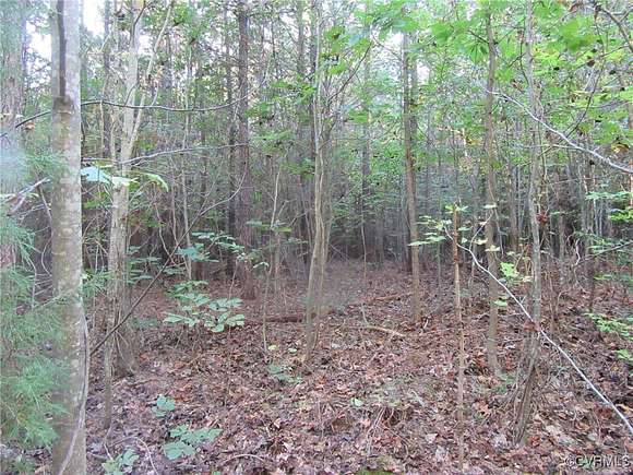 5 Acres of Land for Sale in Wilsons, Virginia