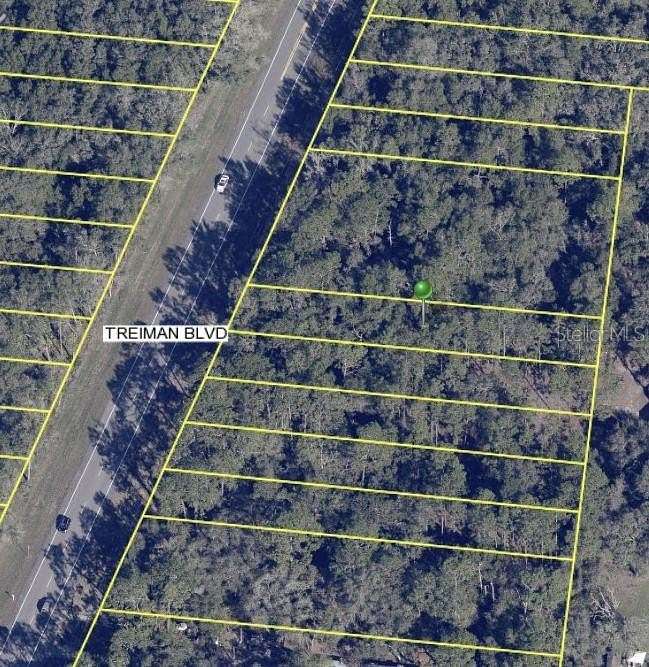 0.31 Acres of Residential Land for Sale in Webster, Florida