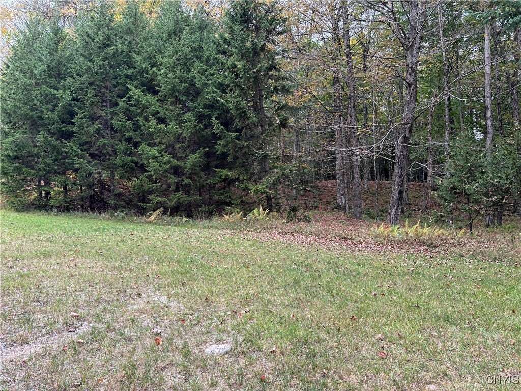 1 Acre of Residential Land for Sale in Old Forge, New York
