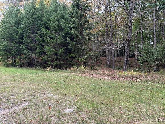 1 Acre of Residential Land for Sale in Webb Town, New York