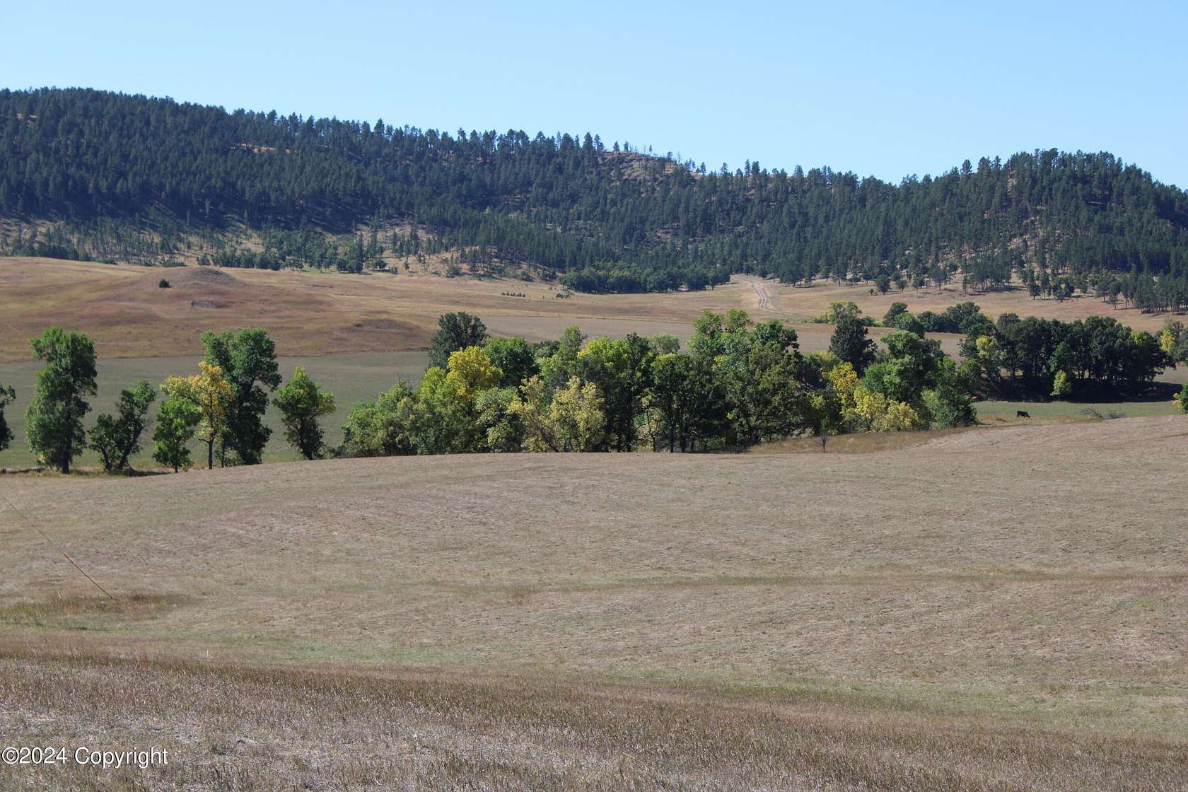 40.45 Acres of Agricultural Land for Sale in Hulett, Wyoming