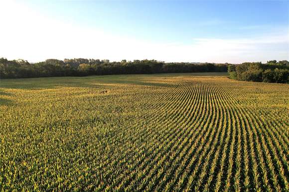 151.9 Acres of Land for Auction in Prole, Iowa